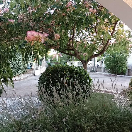 Apartman Daniva